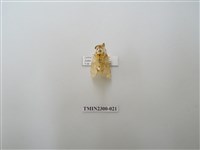 藏品(波斑毒蛾)的圖片